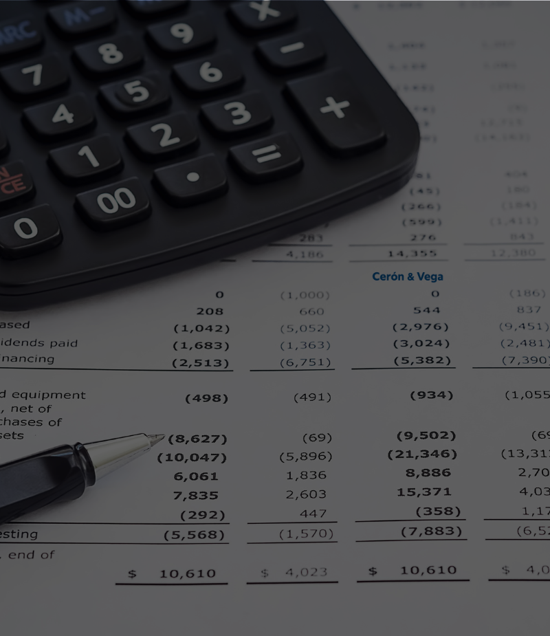 quienes somos ceron y vega (7)